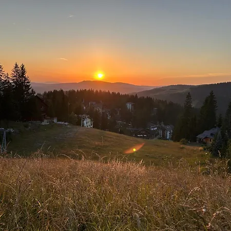 Kovacevic Apartament *