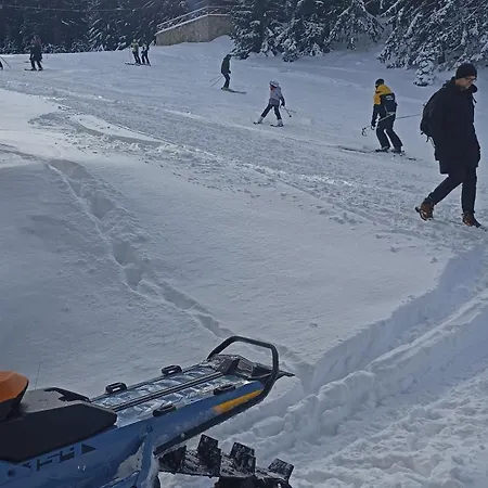 Apartament Kovacevic *