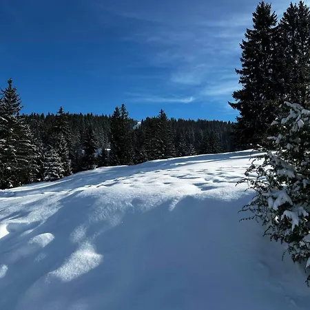 Kovacevic Apartament