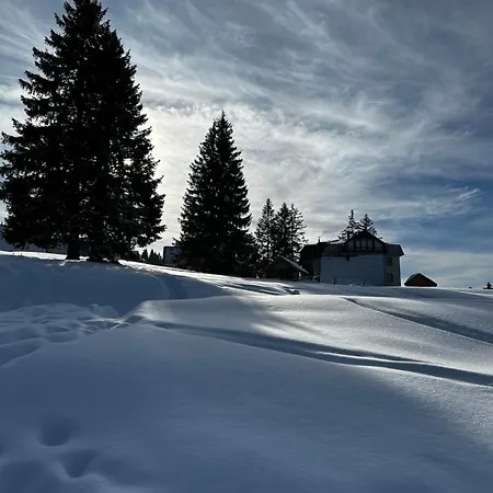 Kovacevic Apartament Vlašić