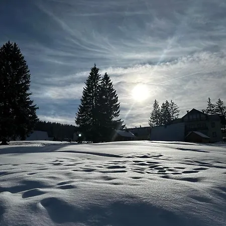 Kovacevic * Vlašić